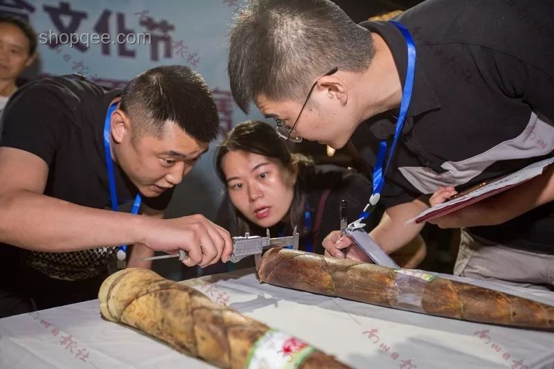 为什么感觉全世界只有中国会吃竹笋？解锁竹笋美食文化